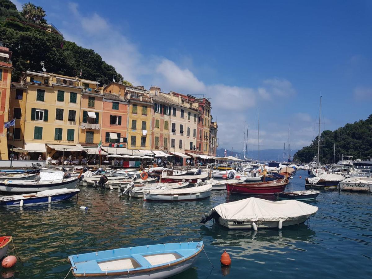 Gomitolo di mare Villa Cavi di Lavagna Esterno foto